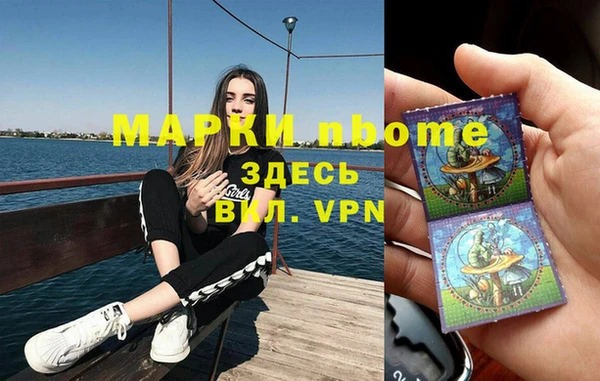 молекула духа Каменногорск