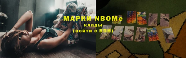 молекула духа Каменногорск