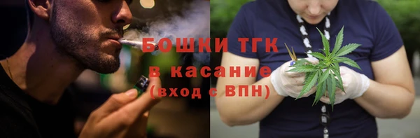 молекула духа Каменногорск