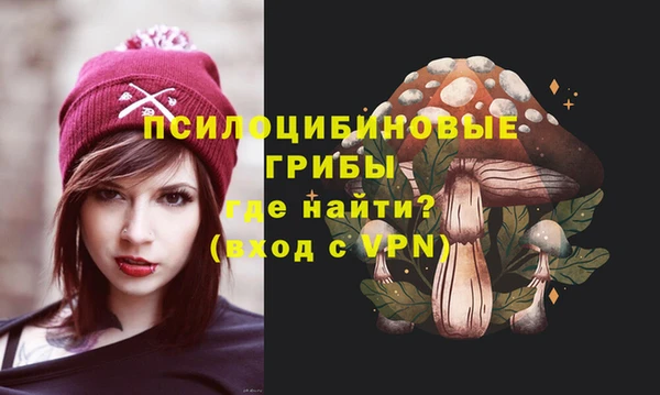 ГАЛЛЮЦИНОГЕННЫЕ ГРИБЫ Каменск-Шахтинский