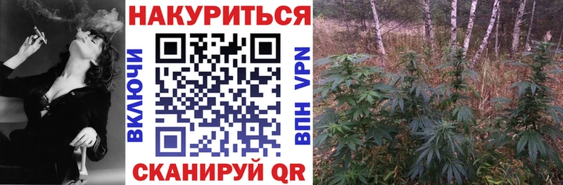 Шишки марихуана White Widow  где продают наркотики  Кизел 